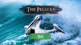 The Pelican Screenshot15