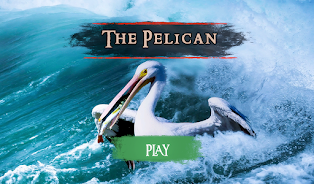 The Pelican Screenshot23