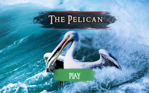 The Pelican Screenshot9