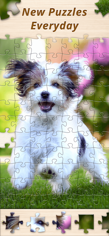 Jigsaw Premium Puzzles HD Screenshot13