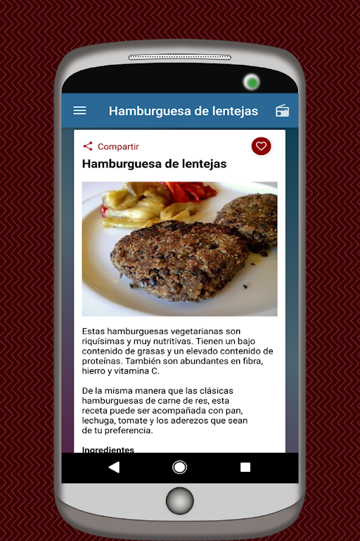 Recetas de Todo Tipo de Comida Screenshot8