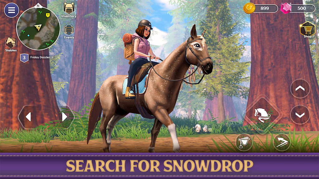 Star Equestrian - Horse Ranch Screenshot11