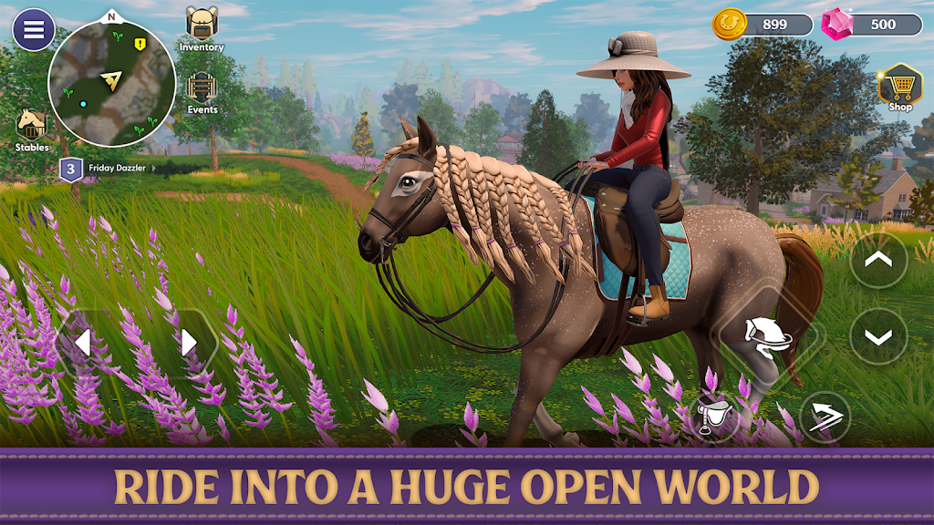 Star Equestrian - Horse Ranch Screenshot32