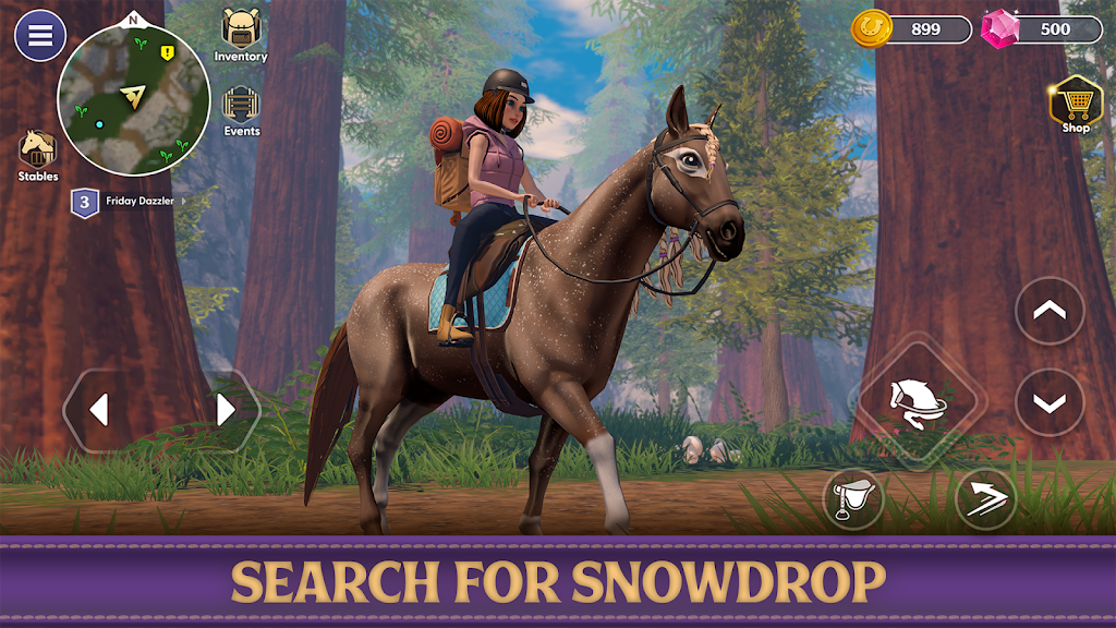 Star Equestrian - Horse Ranch Screenshot27