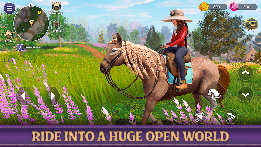 Star Equestrian - Horse Ranch Screenshot24