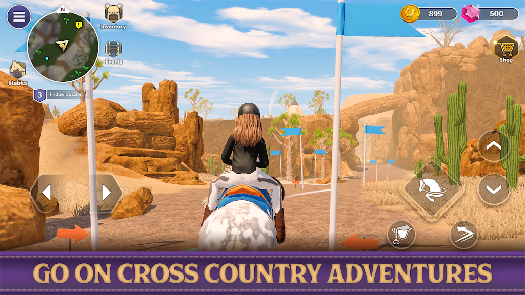 Star Equestrian - Horse Ranch Screenshot22