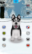 Talking Siberian Husky Screenshot1