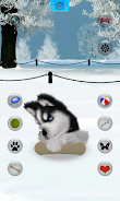 Talking Siberian Husky Screenshot5