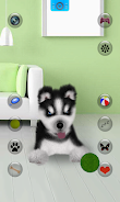 Talking Siberian Husky Screenshot3