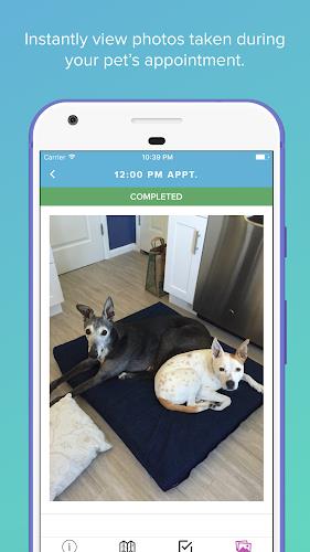 Scout for Pet Owners Screenshot5