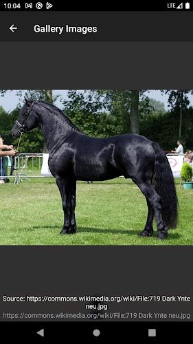 Horse breeds - Photos Screenshot5