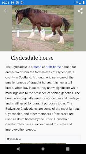 Horse breeds - Photos Screenshot6