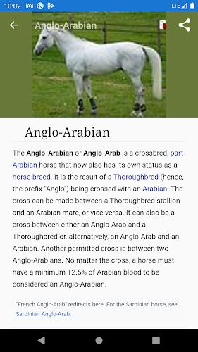 Horse breeds - Photos Screenshot2