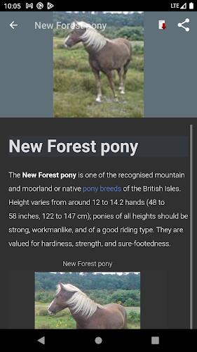 Horse breeds - Photos Screenshot4