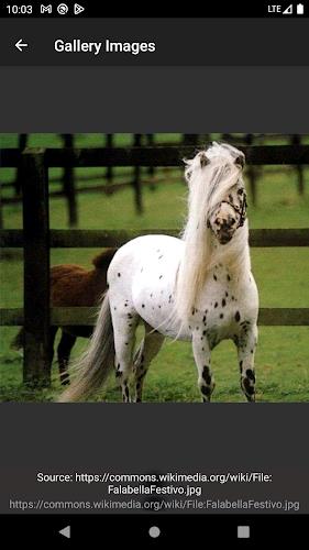 Horse breeds - Photos Screenshot7