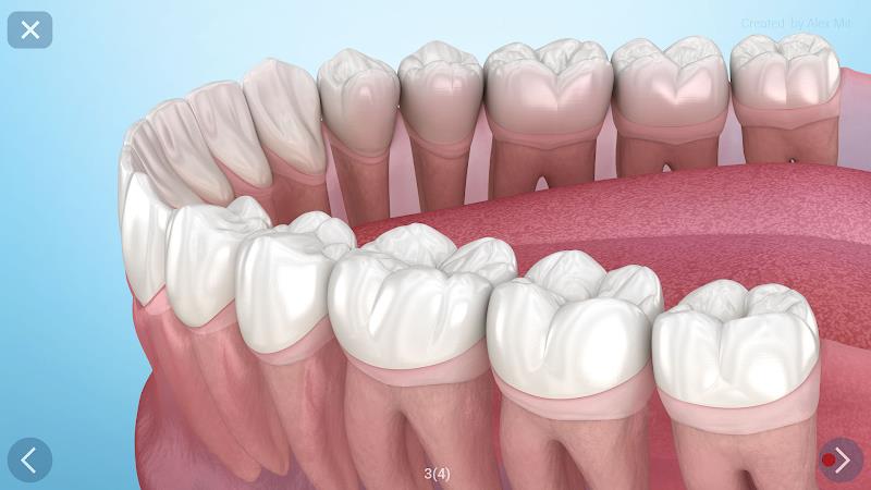 Dental 3D Illustrations Screenshot23