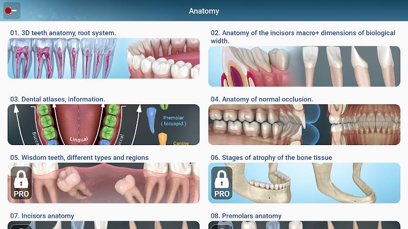 Dental 3D Illustrations Screenshot22