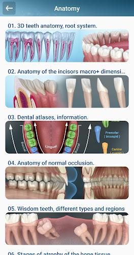 Dental 3D Illustrations Screenshot2