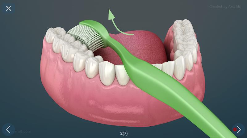 Dental 3D Illustrations Screenshot28