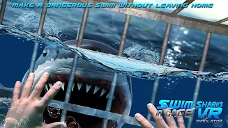 Swim Sharks Cage VR Simulator Screenshot2