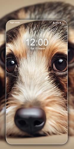 Dog Wallpapers & Cute Puppy 4K Screenshot5