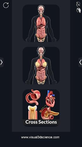 My Organs Anatomy Screenshot1