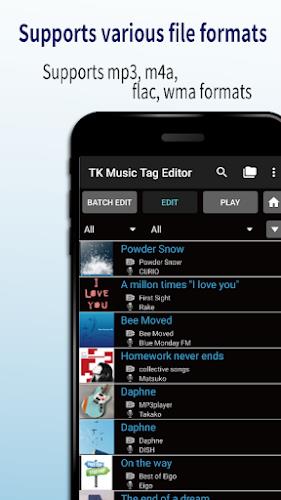 TK Music Tag Editor Screenshot5