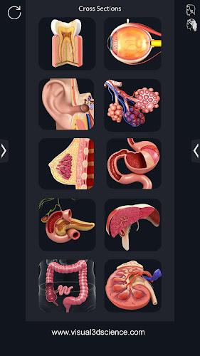 My Organs Anatomy Screenshot2