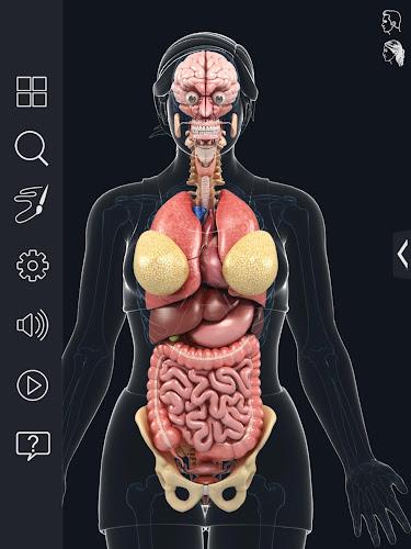 My Organs Anatomy Screenshot12