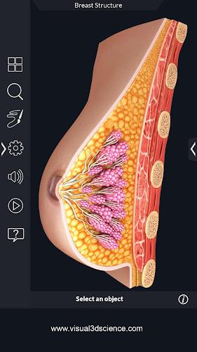 My Organs Anatomy Screenshot8