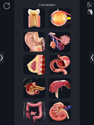 My Organs Anatomy Screenshot9