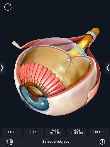 My Organs Anatomy Screenshot14