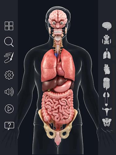 My Organs Anatomy Screenshot11