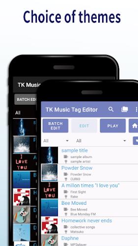 TK Music Tag Editor Screenshot3