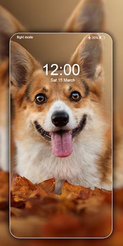 Dog Wallpapers & Cute Puppy 4K Screenshot2