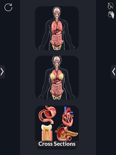 My Organs Anatomy Screenshot10