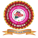 TS-MESA APK