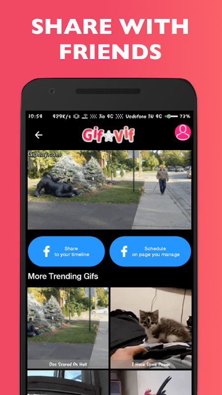 Gifvif : Share from best Gifs Screenshot3