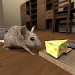 Stray Mouse Simulator APK