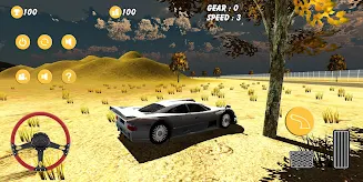 Real Car Drive - Desert Drive Screenshot1