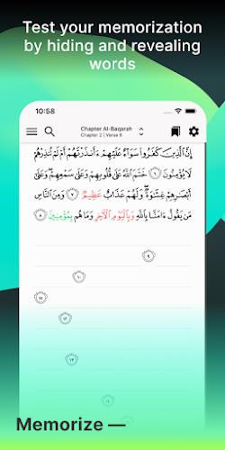 Tarteel: Quran Memorization Screenshot4