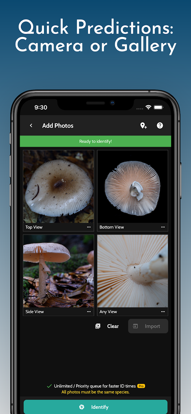 ShroomID - Identify Mushrooms! Screenshot3