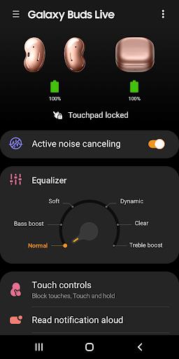 Galaxy Buds Live Manager Screenshot1