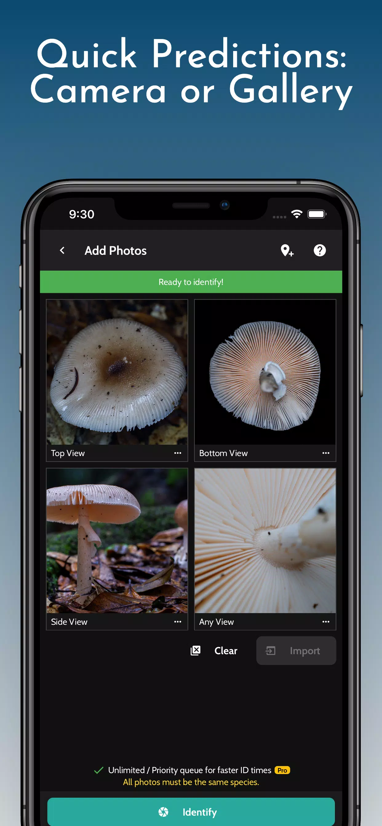 ShroomID - Identify Mushrooms! Screenshot1