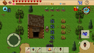 Survival RPG: Open World Pixel Screenshot7