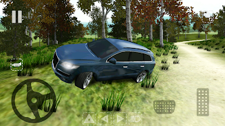 Offroad Car Q Screenshot4