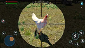 Chicken Shoot Screenshot3