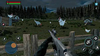 Chicken Shoot Screenshot1