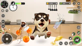 Dog Simulator Pet Dog Games 3D Screenshot5