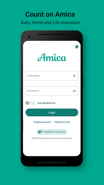 Amica Screenshot1